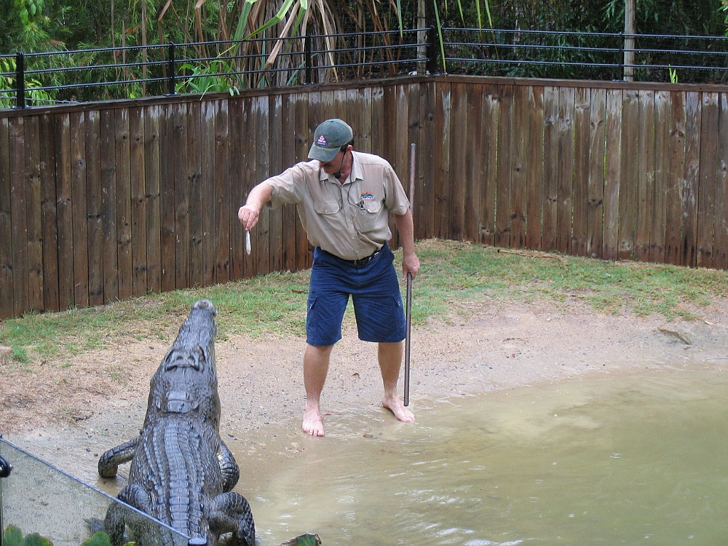 CairnsTC267 Wildlife Habitat.jpg